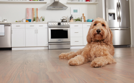 How to Care for Luxury Vinyl Flooring